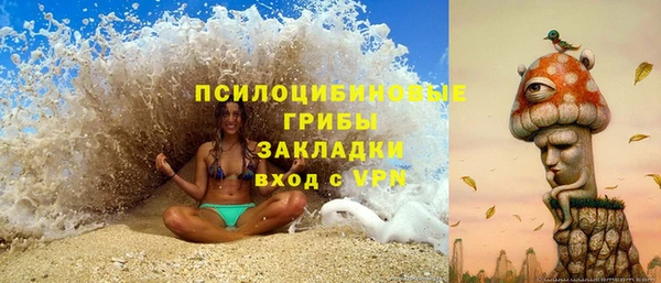 бошки Армянск