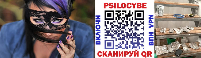Псилоцибиновые грибы Cubensis  Эртиль 